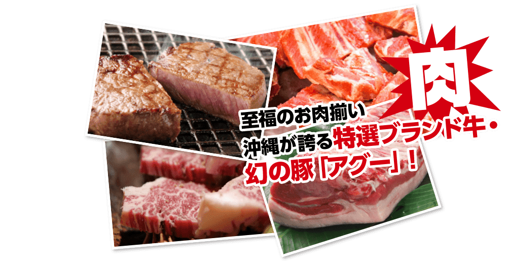 肉 至福のお肉揃い 沖縄が誇る特選ブランド牛・幻の豚「アグー」！